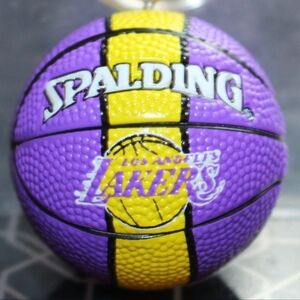 nba keychain Los Angeles Lakers